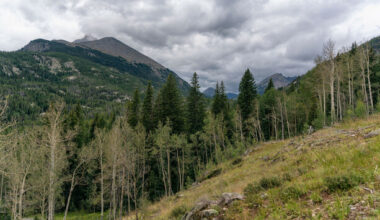 A hiker vanished nearly 20 years ago. How did a dream help to find her?