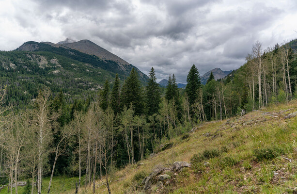 A hiker vanished nearly 20 years ago. How did a dream help to find her?