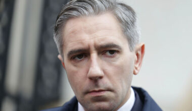 Fine Gael tells its councillors to oppose Independents' nominations for presidential election