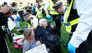 Over 420 people arrested in London for supporting Palestine Action - The Journal