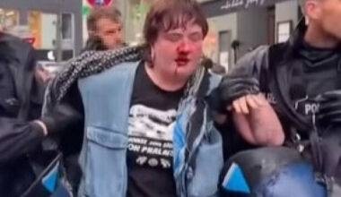 Tánaiste says German authorities are investigating punching of Irish activist by officer - The Journal