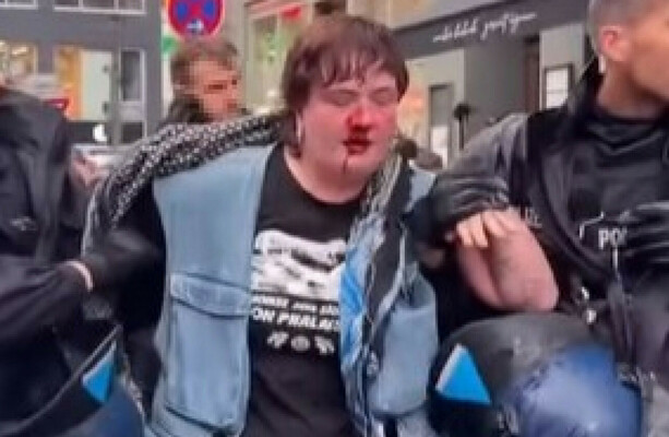 Tánaiste says German authorities are investigating punching of Irish activist by officer - The Journal