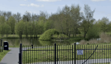 Two children among four arrested in investigation into violent disorder at Roscommon park - The Journal
