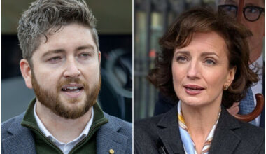 No joy for Sheridan or Steen as Fingal Council rules out presidential backing - The Journal