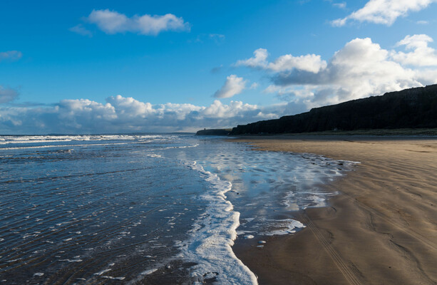 Two people hospitalised after being struck by horse on Derry beach - The Journal