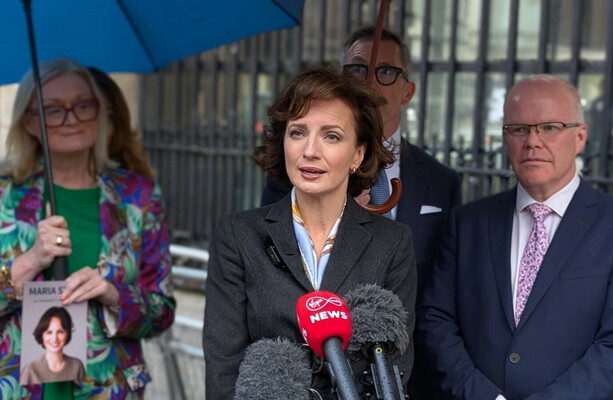 Blame game begins as Maria Steen supporters divided on why her campaign failed at last hurdle - The Journal
