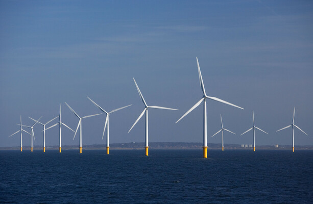 Ireland needs more offshore wind farms because of AI, says Taoiseach