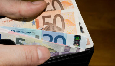 It looks like the €1,000 rent tax credit might get an extension