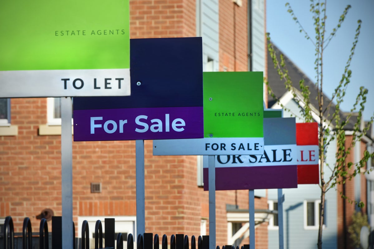 Business news live: UK house prices fall with market ‘struggling to find its feet’ after stamp duty change