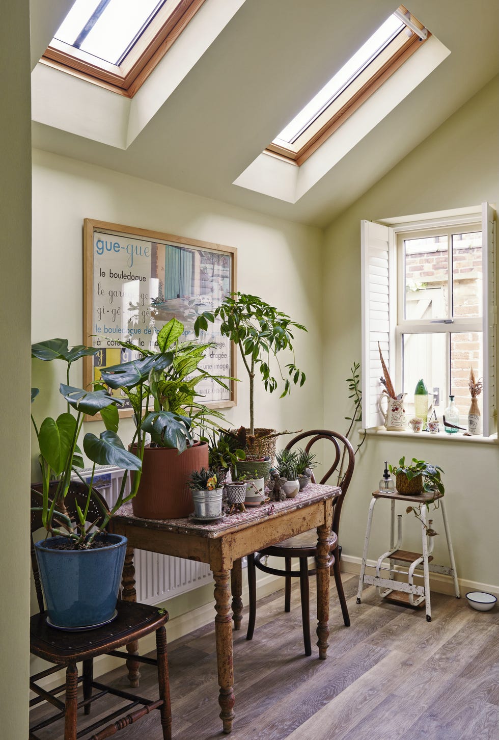 Light-filled kitchen with houseplants in York terrace bright and airy kitchen in emily sutton’s york home with thriving houseplants on shelves and counters