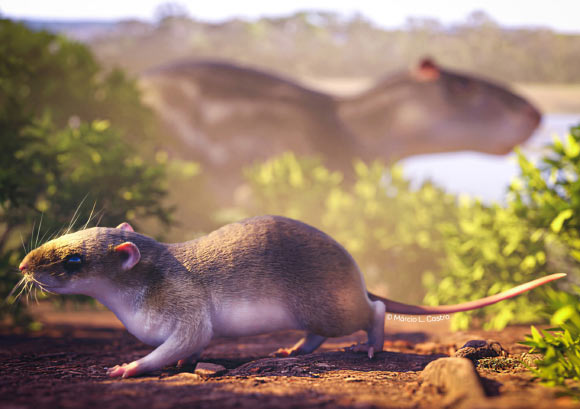 Hypothetical reconstruction of Acarechimys hunikuini. Image credit: Márcio Castro.