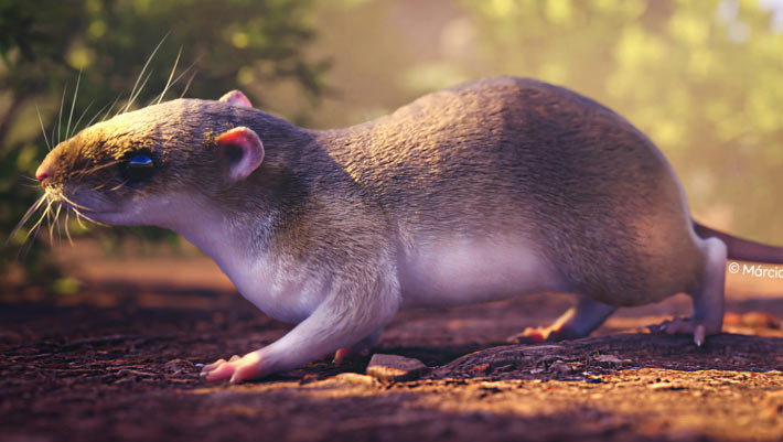 New Species of Extinct Octodontoid Rodent Discovered from Amazonian Fossil