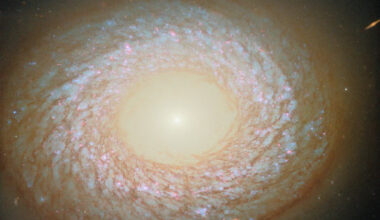 This Hubble image shows NGC 2775, a galaxy some 67 million light-years away in the constellation of Cancer. Image credit: NASA / ESA / Hubble / F. Belfiore / J. Lee / PHANGS-HST Team.