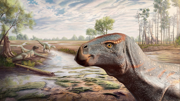 Cariocecus bocagei. Image credit: Victor Feijó de Carvalho.