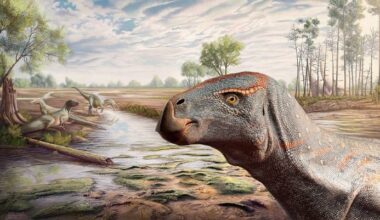 Paleontologists Discover New Species of Iguanodontian Dinosaur
