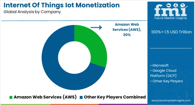 Internet Of Things Iot Monetization Market Analysis By Company