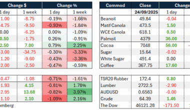 Daily Market Wire 25 September 2025