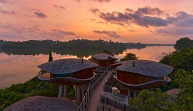 Mandai Rainforest Resort by WOW Architects "creeps through the jungle"