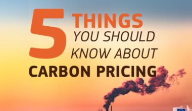 5 things you should know about carbon pricing