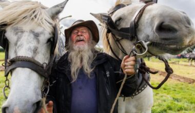National Ploughing Championships 2025: Day 1 in pictures as ploughers and presidential candidates arrive in Screggan
