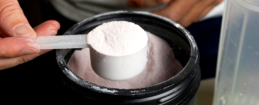 An Expert Reveals What Happens if You Eat Too Much Protein : ScienceAlert