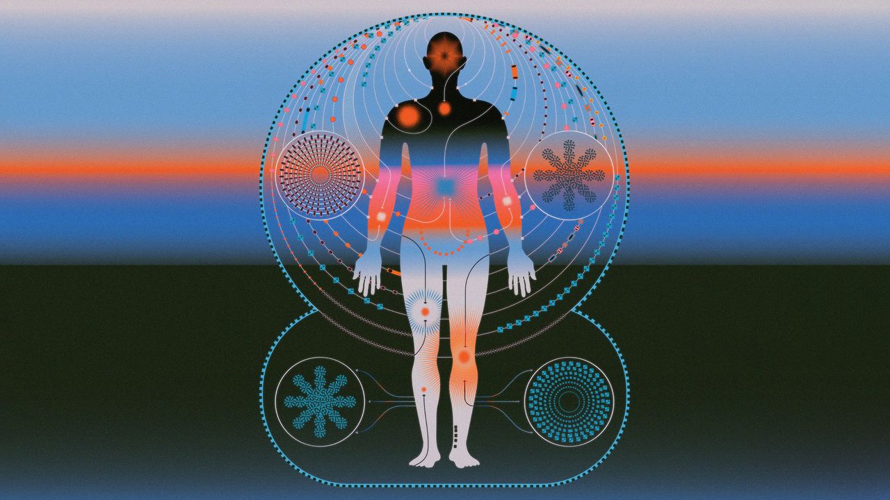 If A.I. Can Diagnose Patients, What Are Doctors For?