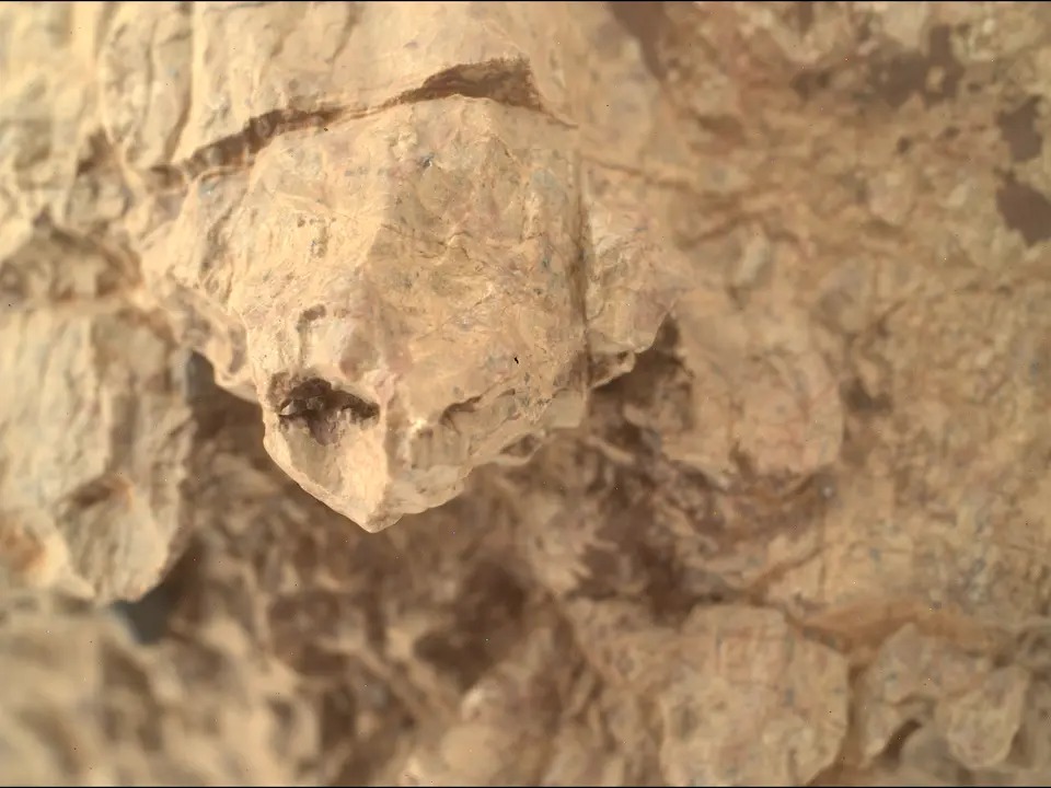“Turtle” discovered on Mars: photo
