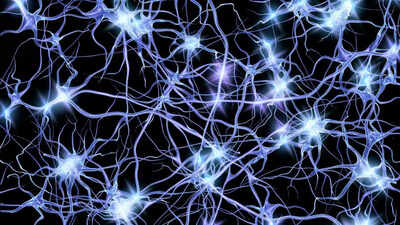 A futuristic world: Top scientists working on turning bacteria into powerful computers!