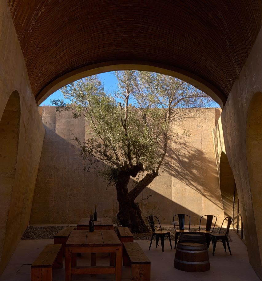 Tree in vaulted winery structure