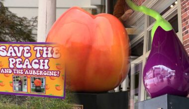 Eggplant, giant peach sprouting controversy in Ellicott City