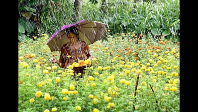 Stable yields for Onam markets in Ernakulam despite rains