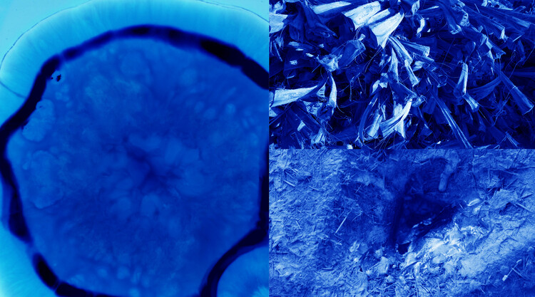 The Architect as Mediator of Materials: Lessons from Hybrid Habitats - Image 2 of 7