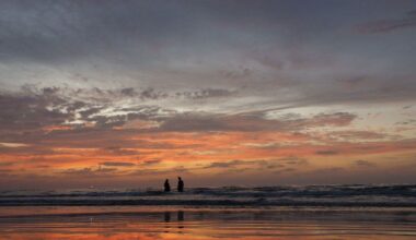 Your First Look At KJ Micciche's New Novel ‘One Week Later’