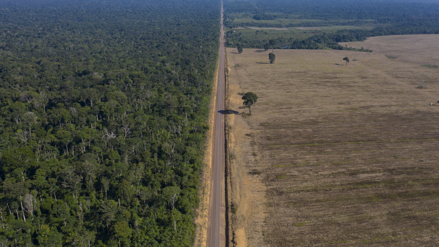 Brazil's soybean moratorium pause raises deforestation concerns