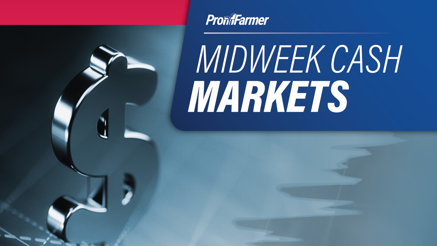 Midweek Cash Markets | Corn, soy basis continue to trend weaker than average