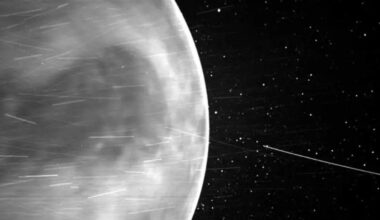 Undetected, Dangerous Asteroids Could Be Lurking in Venus's Orbit