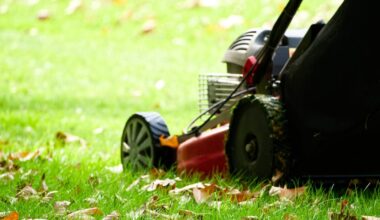 Here’s Exactly When To Stop Mowing Your Lawn For Winter