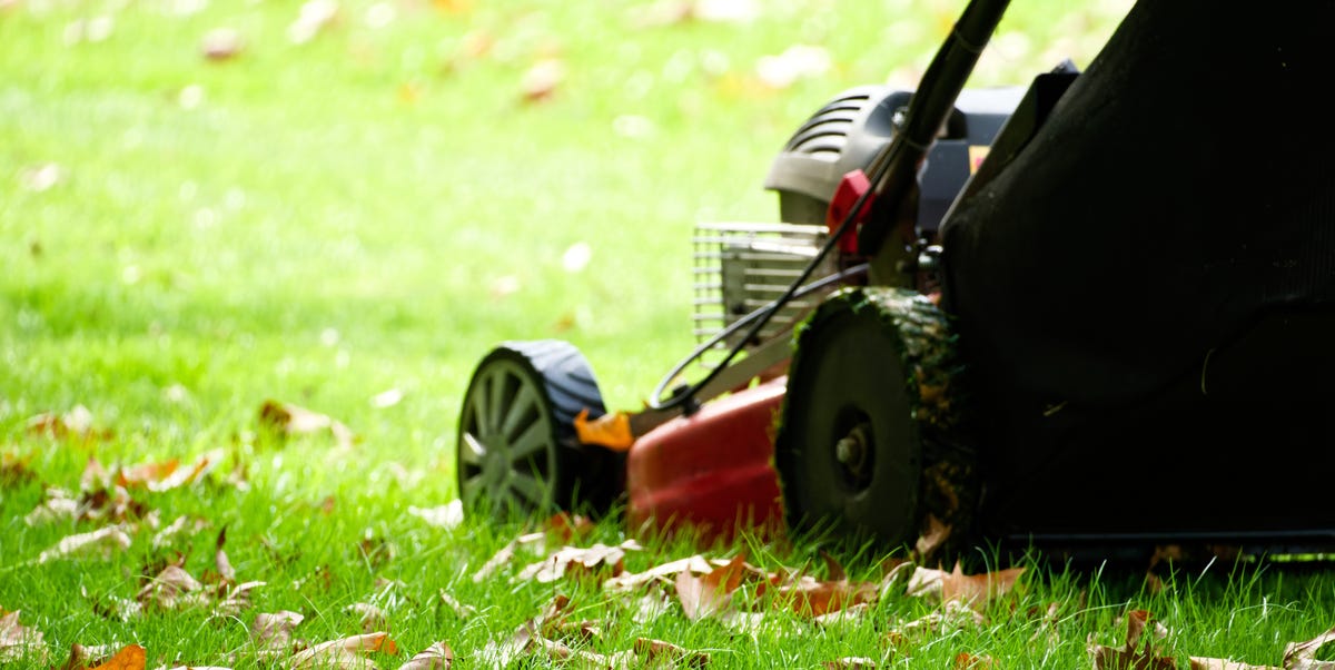 Here’s Exactly When To Stop Mowing Your Lawn For Winter