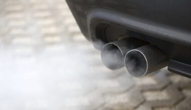 Progress by local councils on environmental issues
