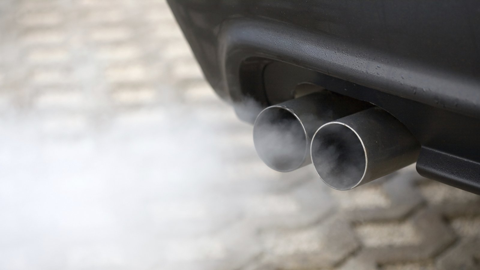 Progress by local councils on environmental issues