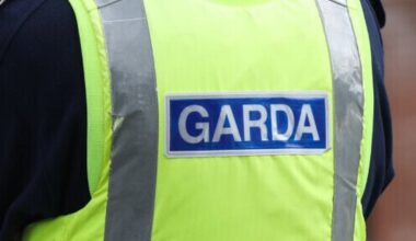 Man arrested over alleged assault during Dublin canvass