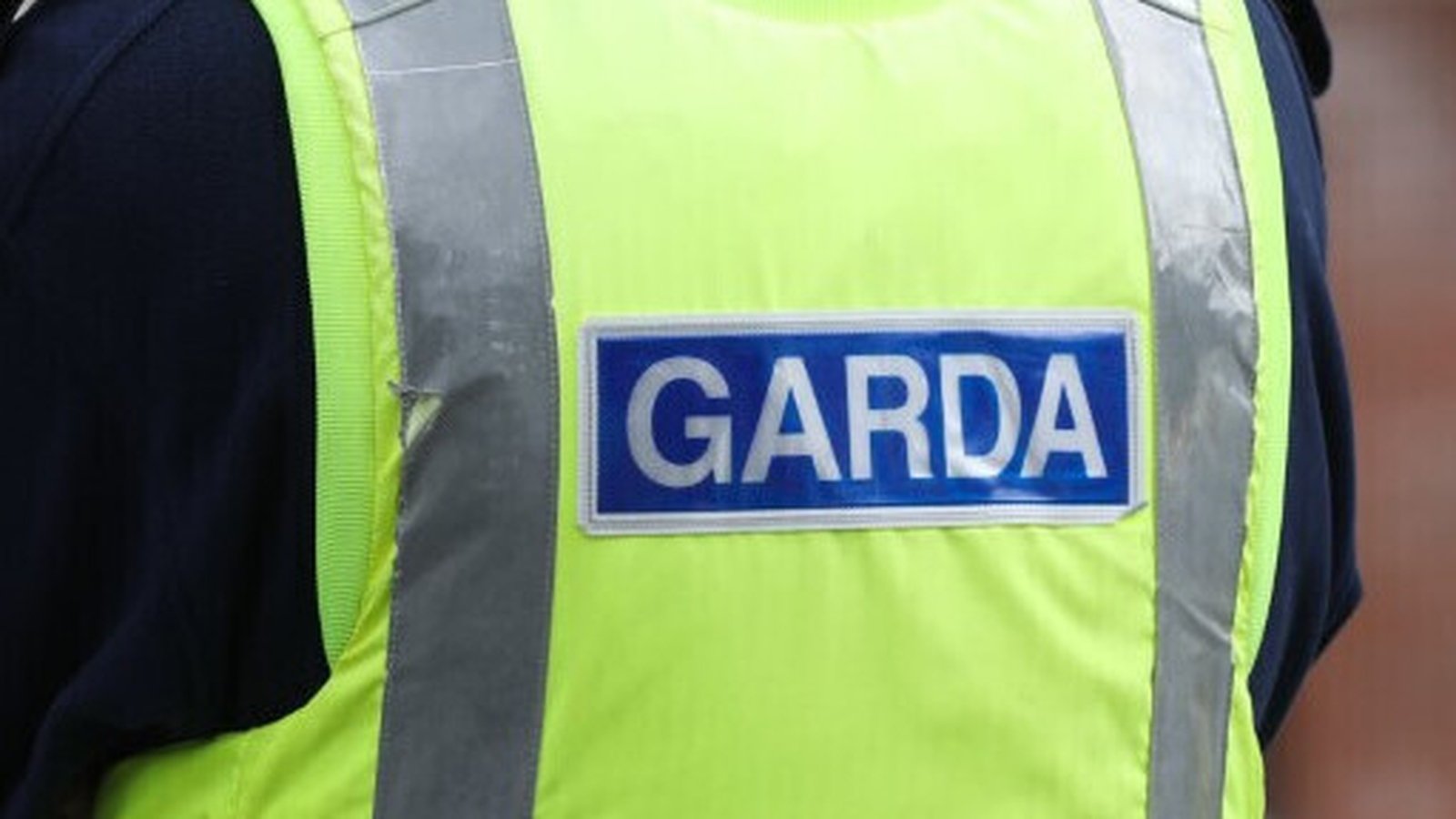 Man arrested over alleged assault during Dublin canvass