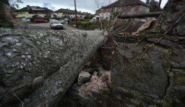 Report recommends cancelling events under Orange warnings
