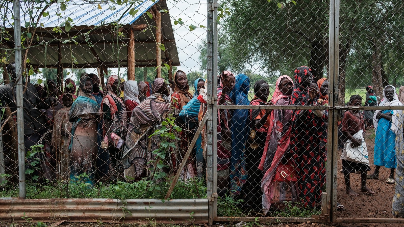 the tragedy of Sudan's 'forgotten war'