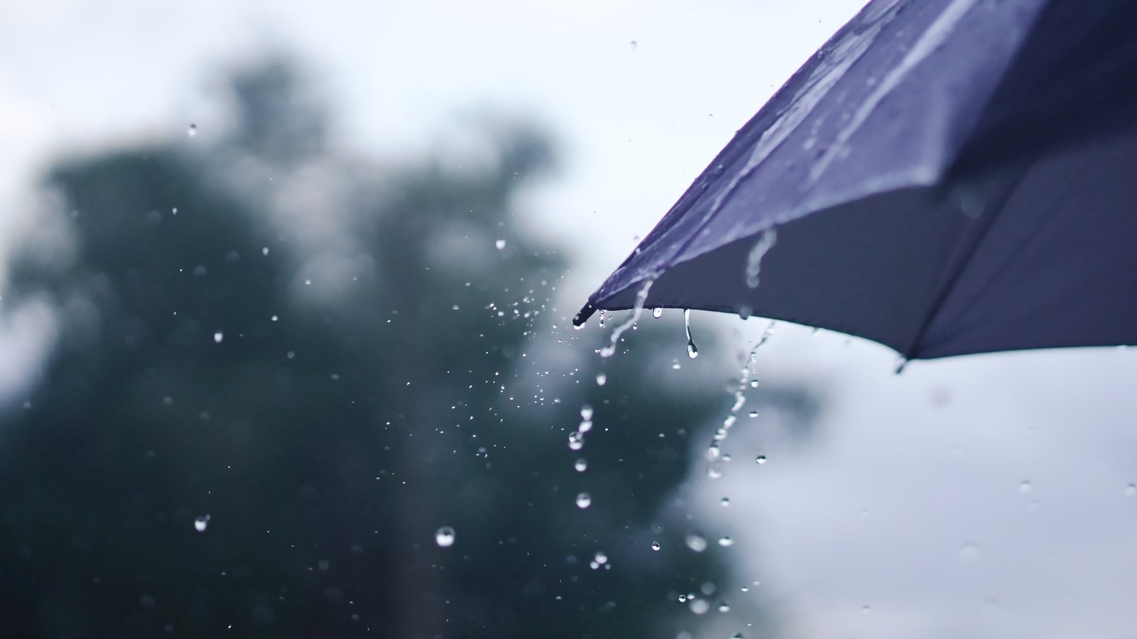 Status Yellow wind and rain warnings for six counties