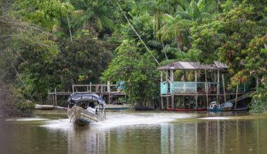 Global asset or frontier for extraction? COP30 is a reckoning for the Amazon