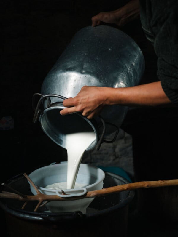 A person pours fresh milk from a large metal can into a white bucket, with a wooden tool resting nearby, in a dimly lit setting.