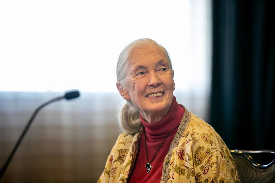 Jane Goodall in San Diego.