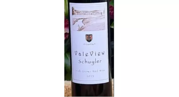 Undeclared sulphur dioxide in a batch of Vale View Schuyler Irish Grown Red Wine