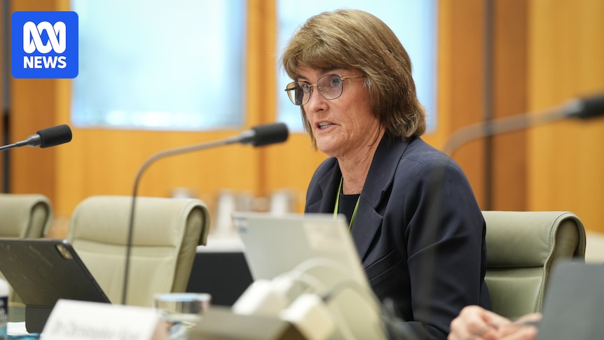 Markets live updates: RBA governor Michele Bullock fronts Senate hearing, ASX to follow global stocks lower